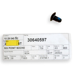 VOLVO XC90 XC60 S90 V90 S60 śruba zamka drzwi OE 30640597