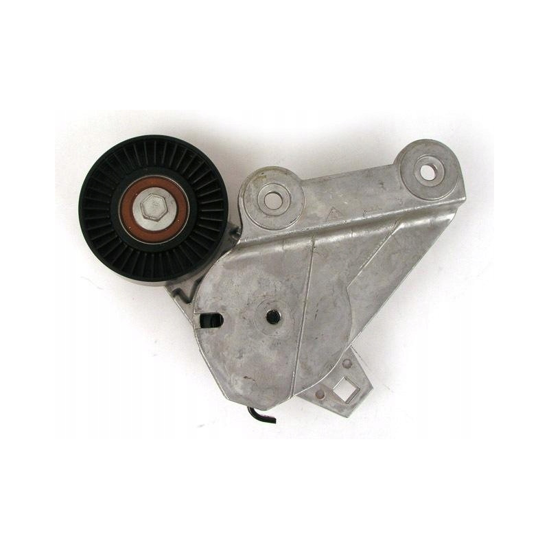 VOLVO Napinacz paska klinowego 6842019 OE