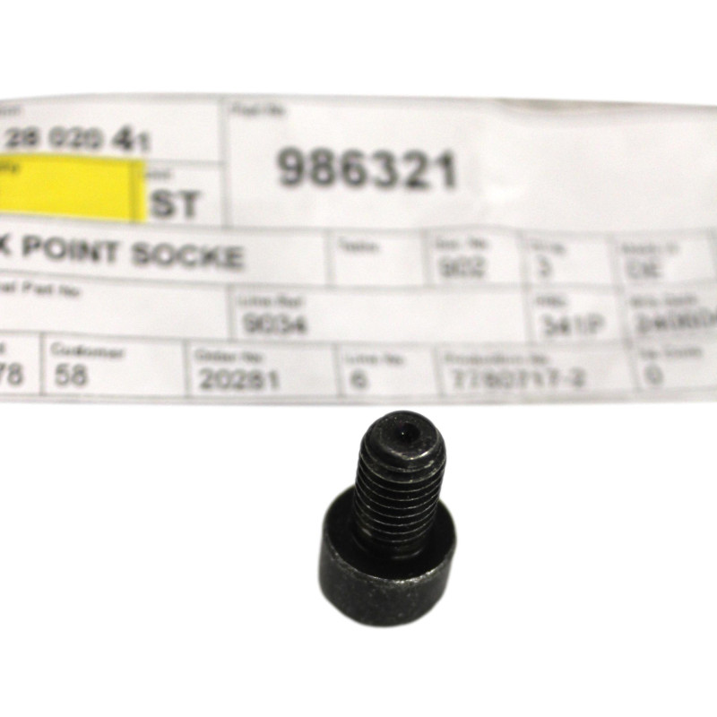 VOLVO oryginalna sruba...